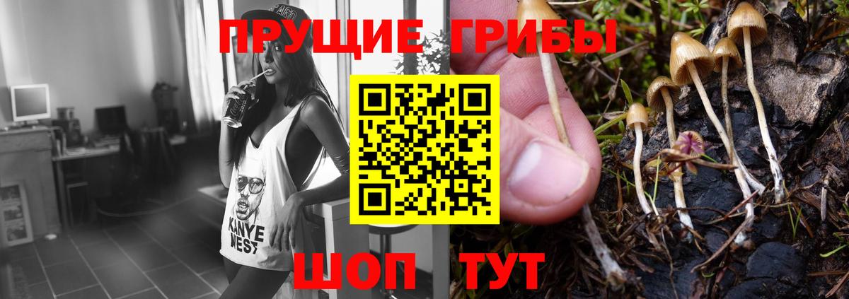 Галлюциногенные грибы мицелий Бердск