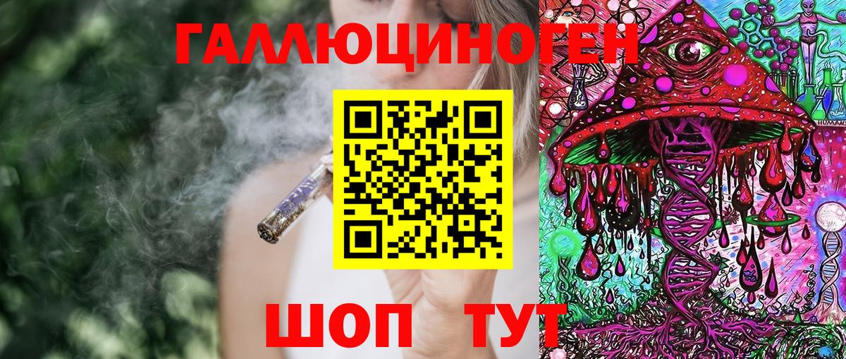 Псилоцибиновые грибы мухоморы  наркотики  Бердск  Вход с VPN 